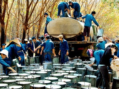 TRC tạm ứng cổ tức 15% bằng tiền mặt